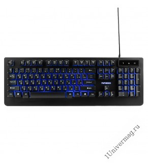 Клавиатура игровая Гарнизон GK-310G, металл, синяя подсветка, код "Survarium", USB, черный, антифант