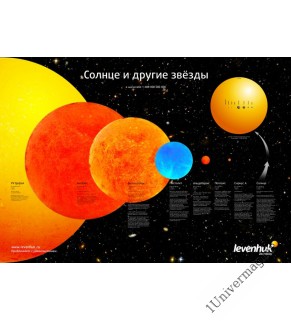 (RU) Постер Levenhuk «Солнце и другие звезды»